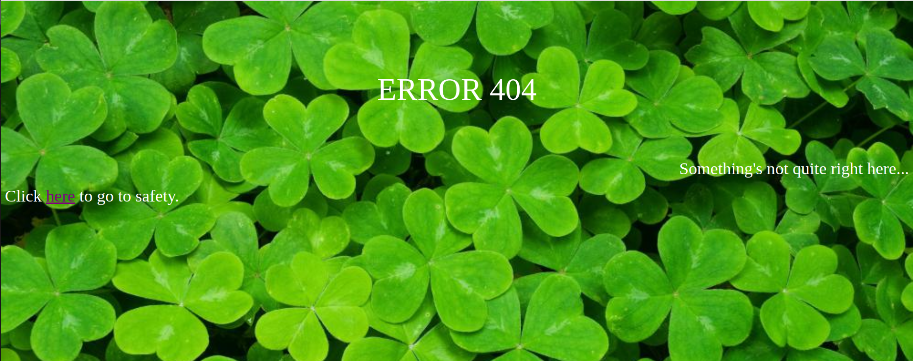 404 Error Page